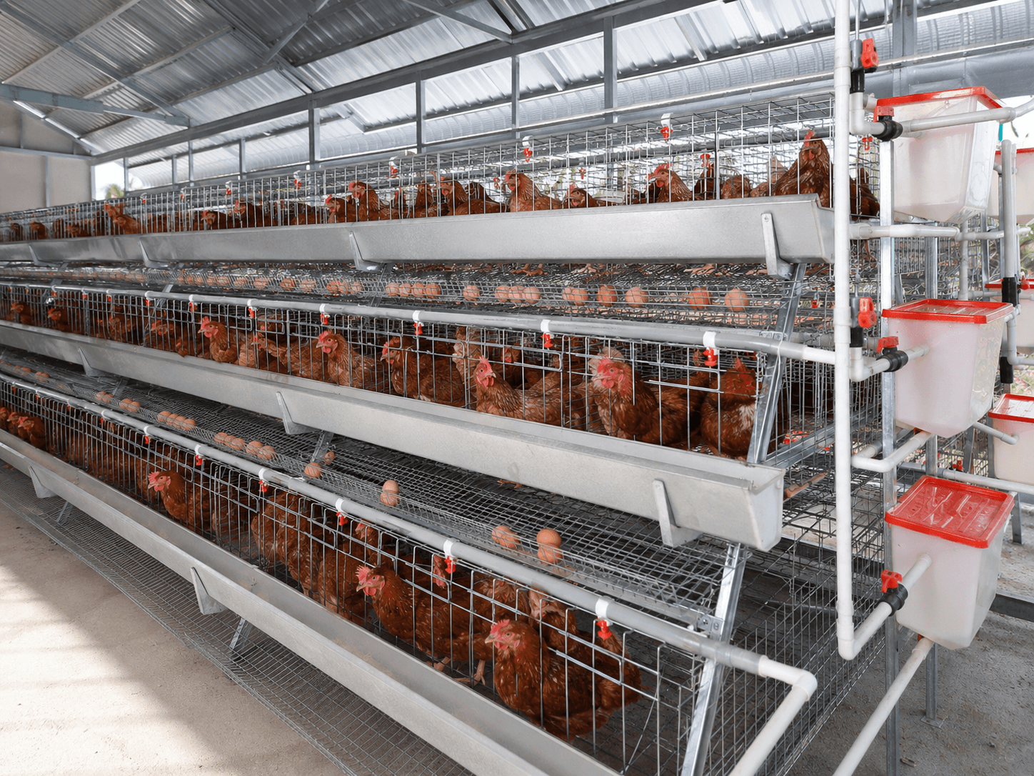Agro & Farm Systems