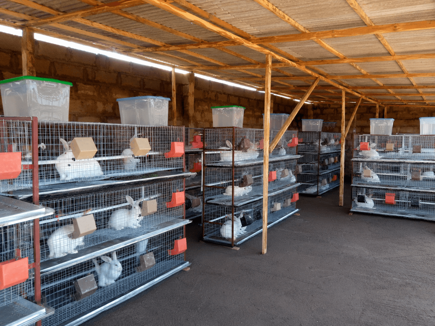 Rabbit Cage System
